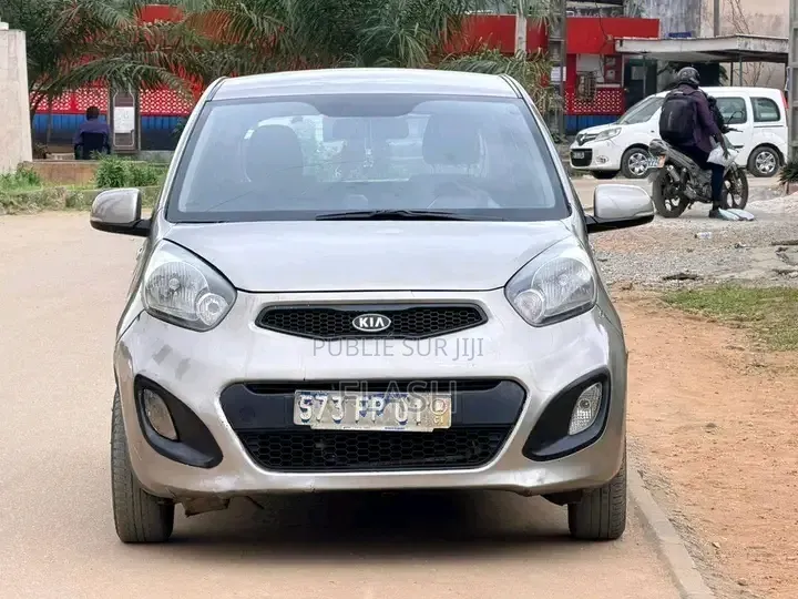 Kia Picanto 2012 Gris