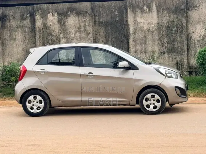Kia Picanto 2012 Gris