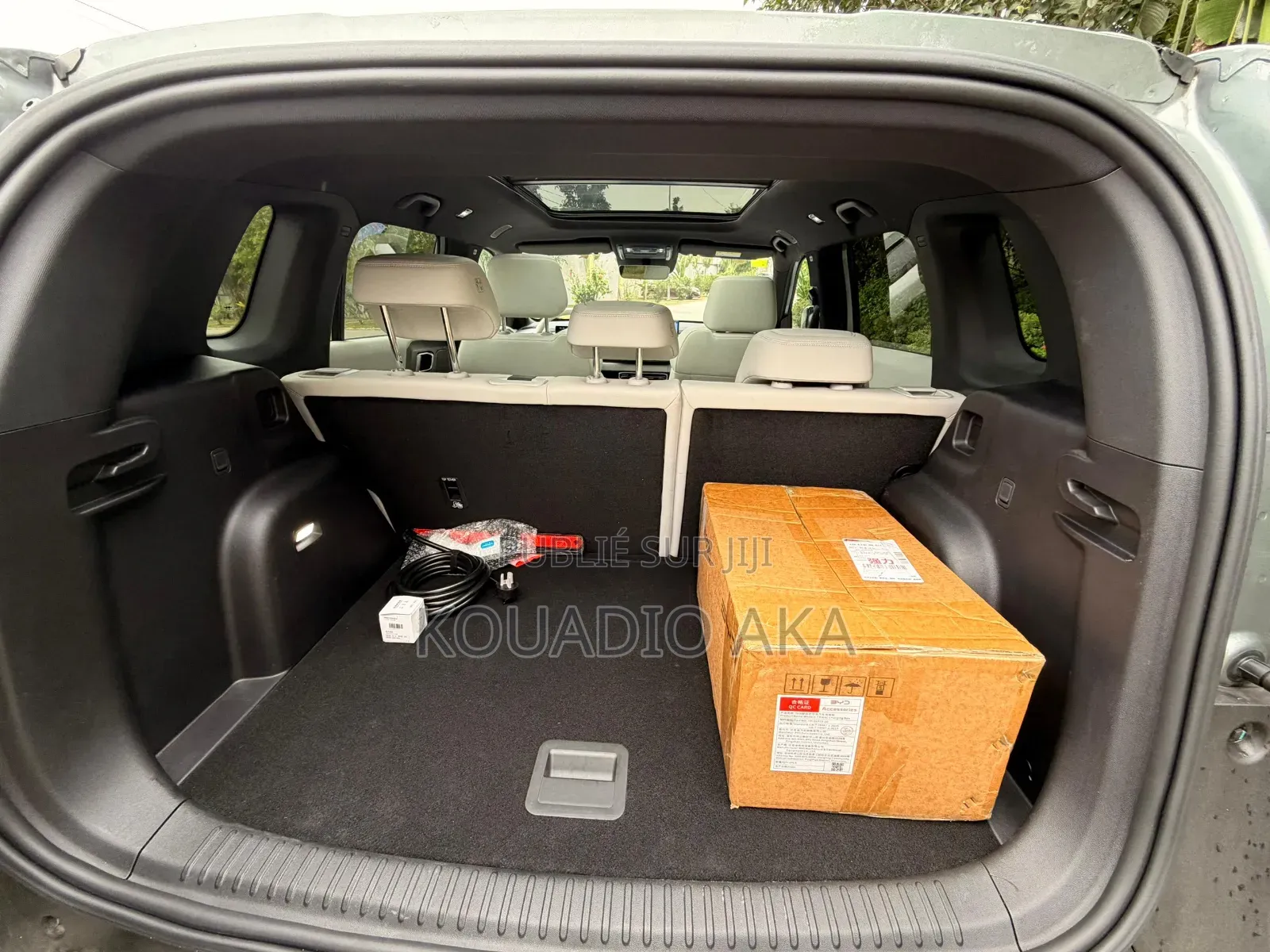 BYD Leopard 3 Pro 2025 Vert