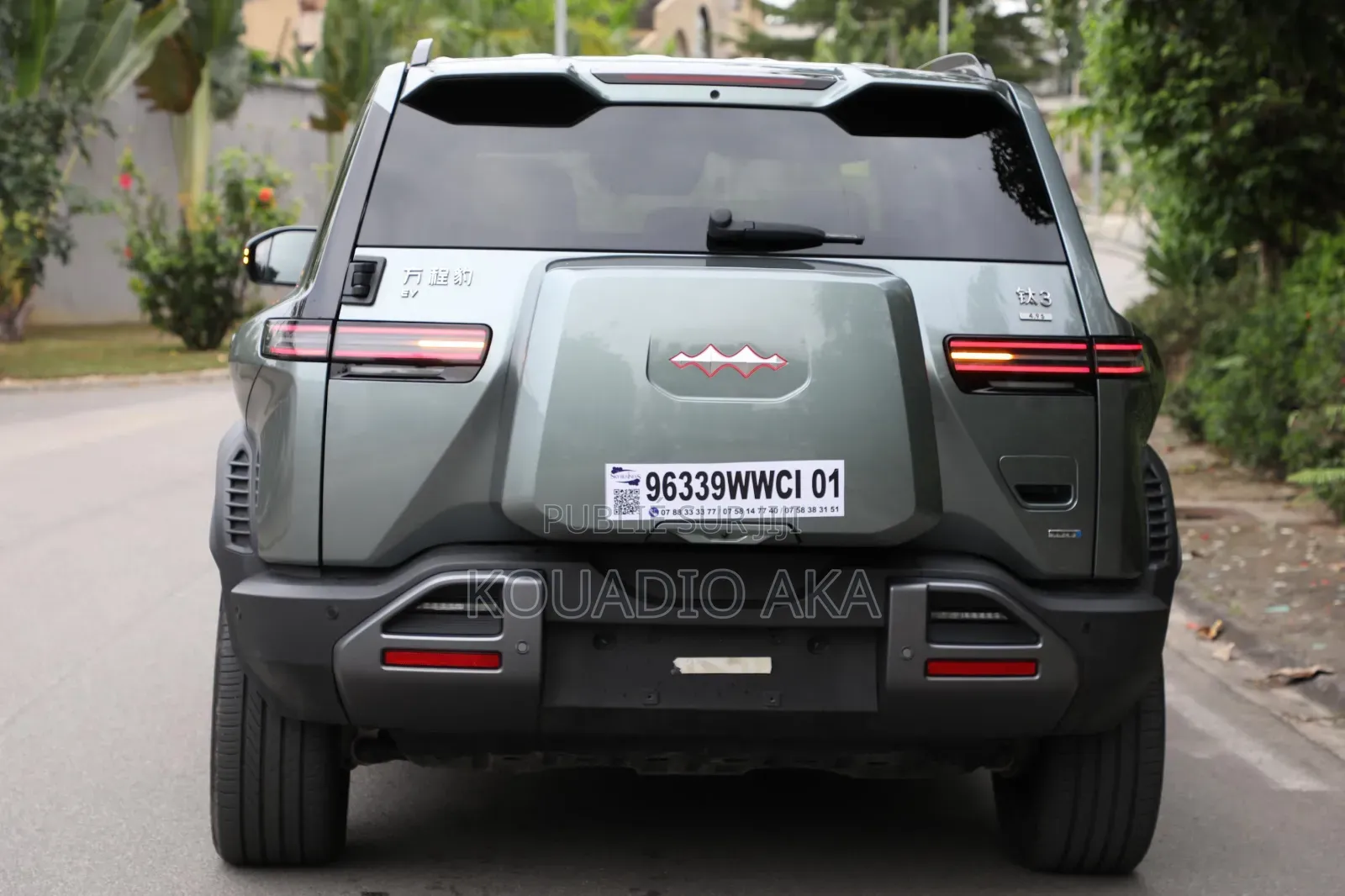 BYD Leopard 3 Pro 2025 Vert
