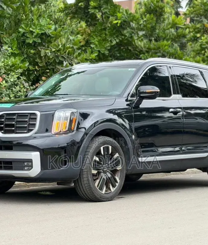 Kia Telluride SX 2024 Noir Mat