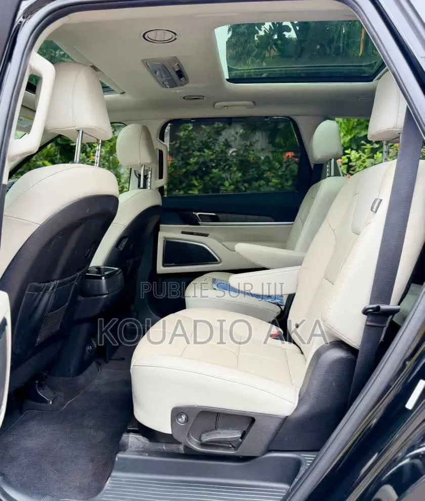 Kia Telluride SX 2024 Noir Mat