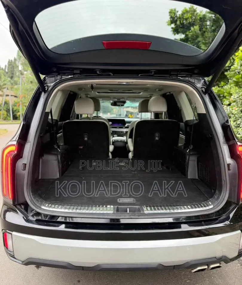 Kia Telluride SX 2024 Noir Mat