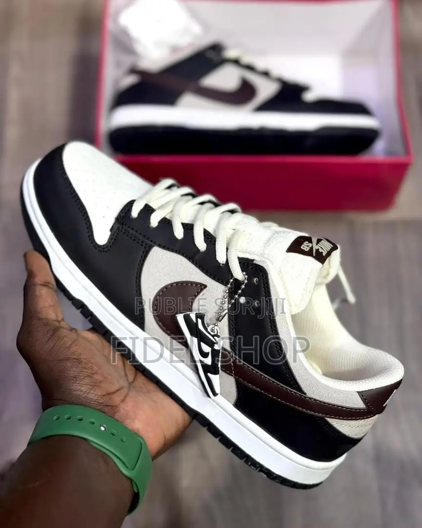 Chaussure Homme Nike Sb