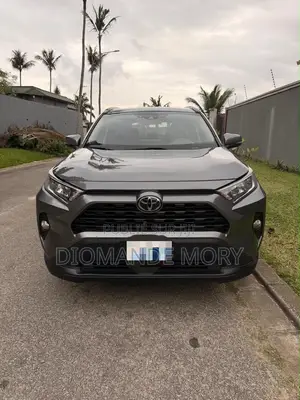 Toyota RAV4 XLE 2022 Gris