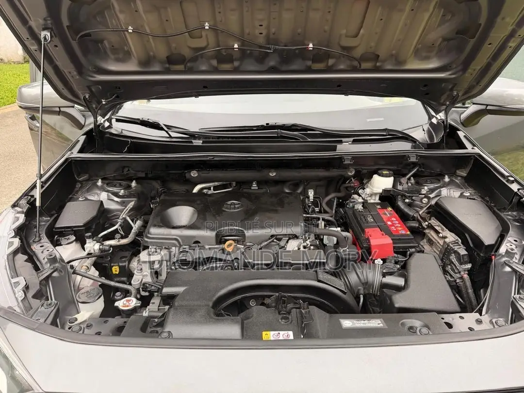 Toyota RAV4 XLE 2022 Gris