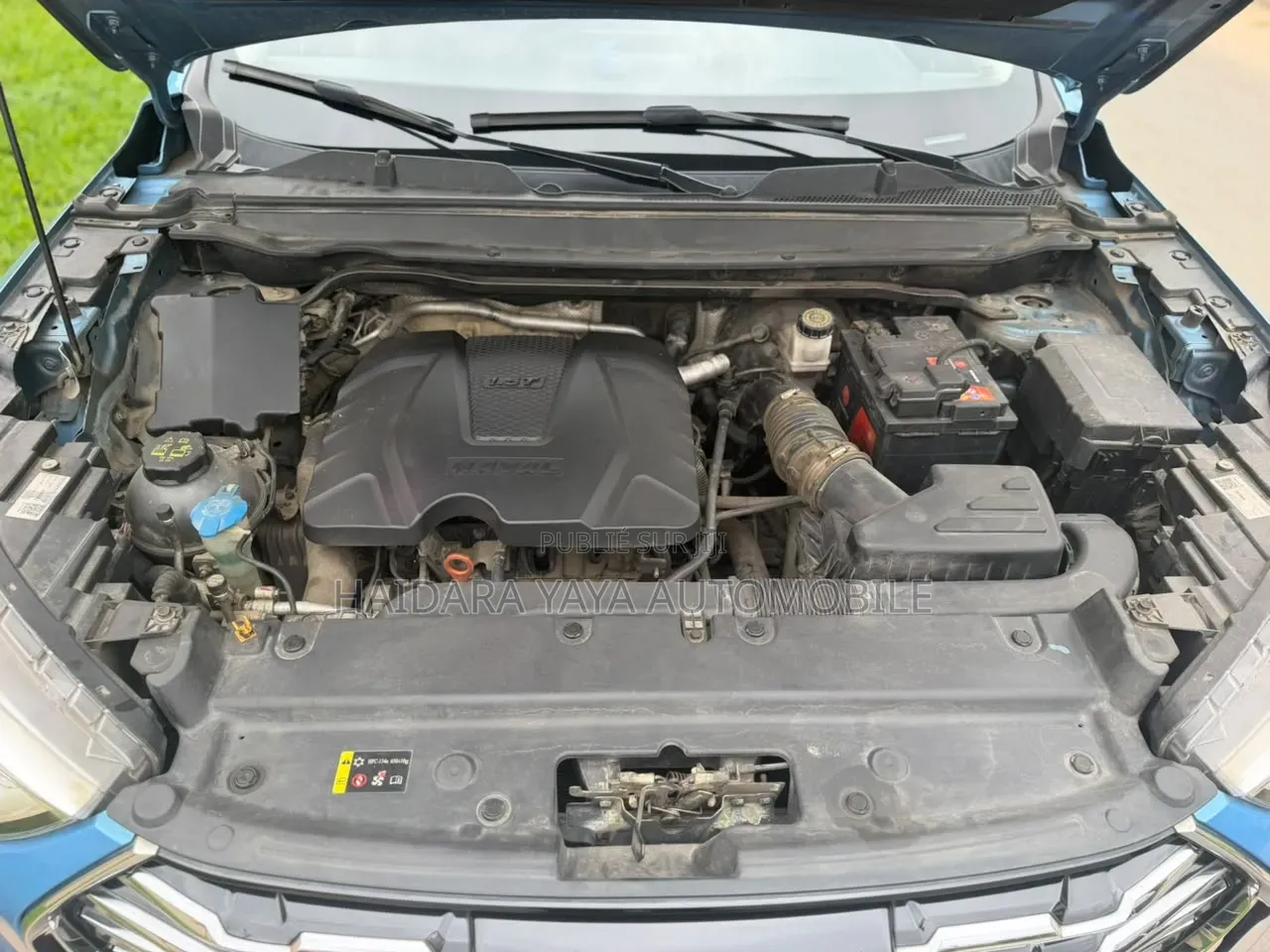 Haval Jolion 2022 Bleu