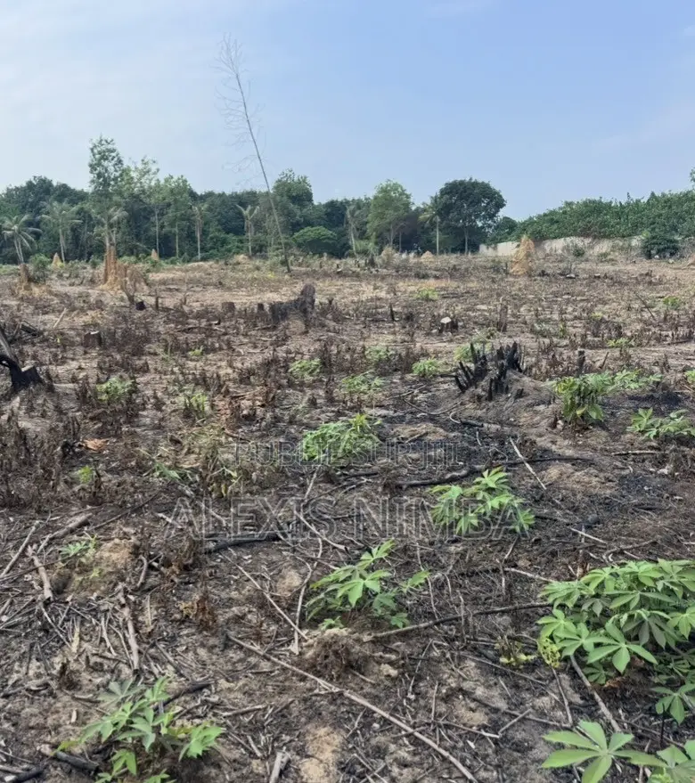 Vente 1hectare Et + Bordure Lac Brakré À La Baie Des Milliardaires