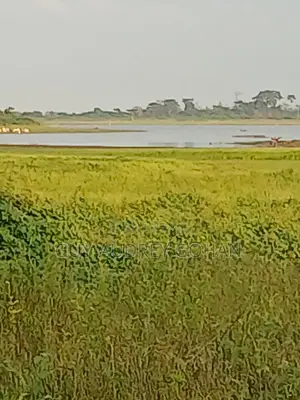 Terrain Agricole De 3100 Hectares Avec CF