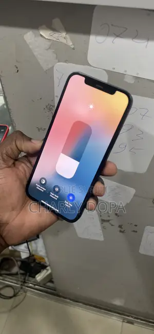 Pomme iPhone 12 64 GB Vert