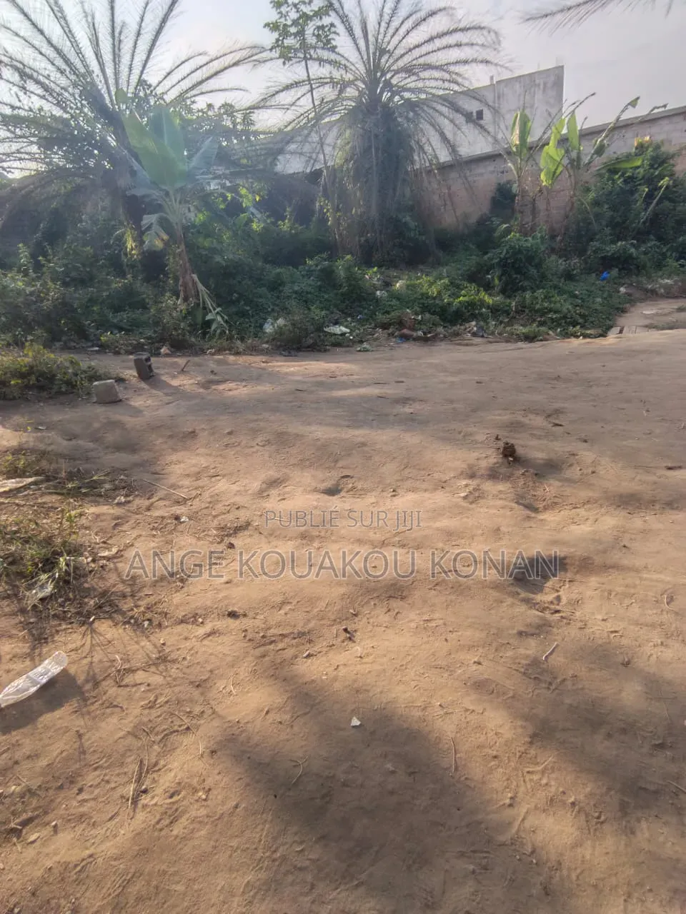 Ange Immobilier