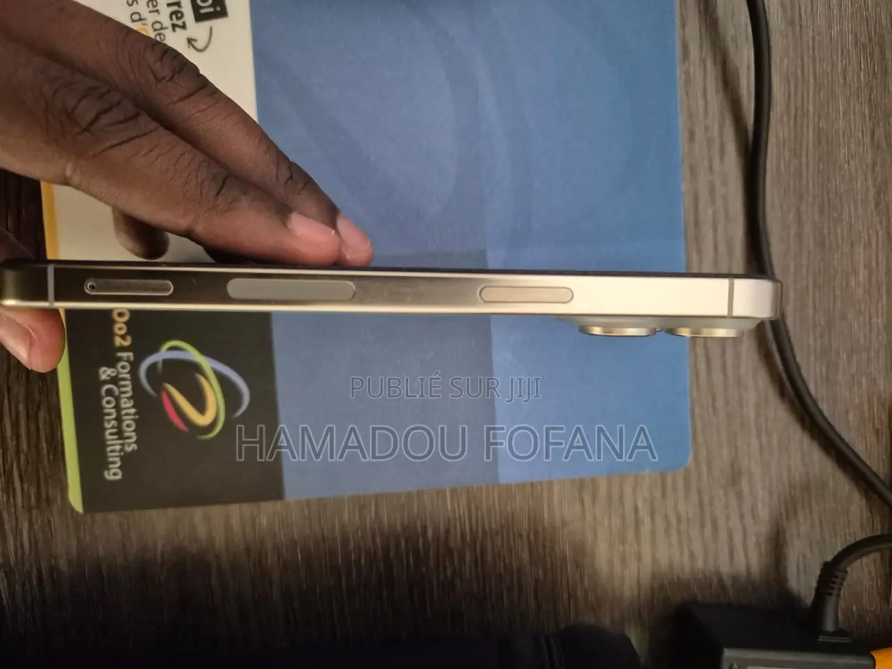 Pomme iPhone 15 Pro Max 256 GB Gris
