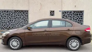 Toyota Belta 2023 Marron