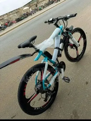 Vélo Électrique