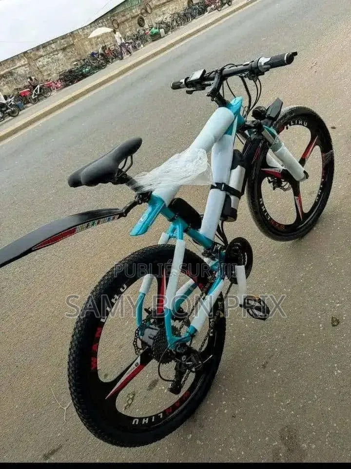 Vélo Électrique