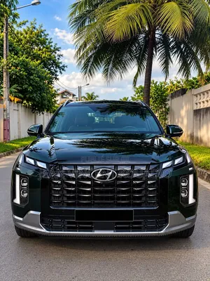 Hyundai Palissade 2024 Vert