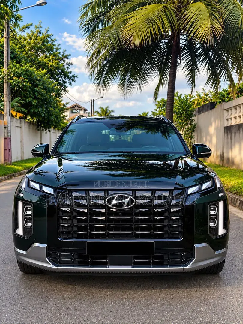 Hyundai Palissade 2024 Vert