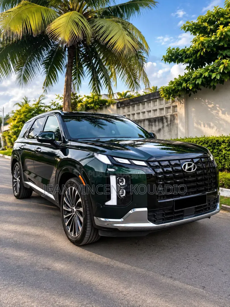Hyundai Palissade 2024 Vert