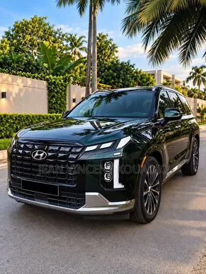 Hyundai Palissade 2024 Vert