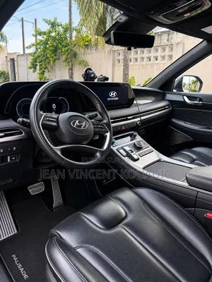 Hyundai Palissade 2024 Vert