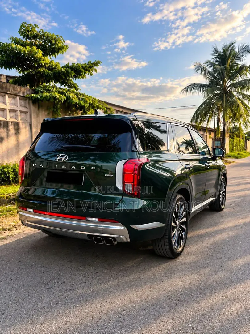 Hyundai Palissade 2024 Vert