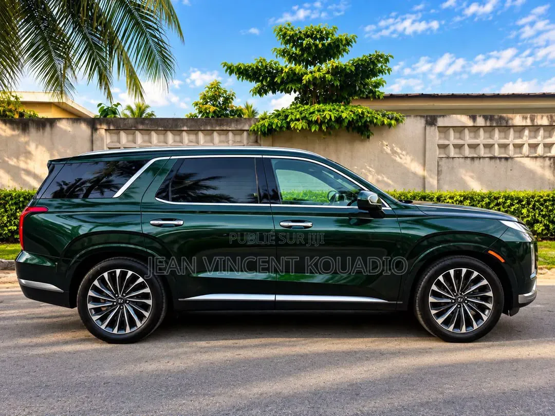 Hyundai Palissade 2024 Vert