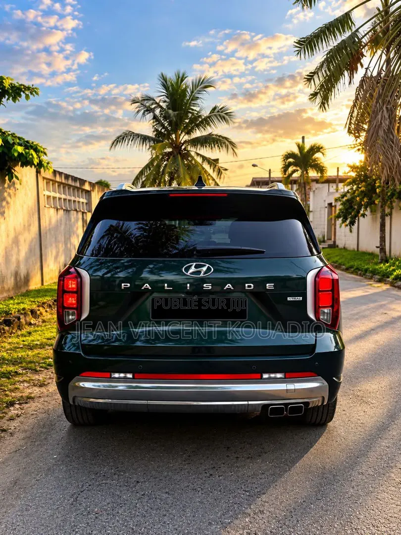 Hyundai Palissade 2024 Vert