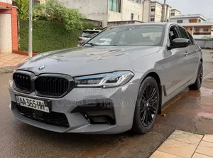 BMW 530 2020 Gris