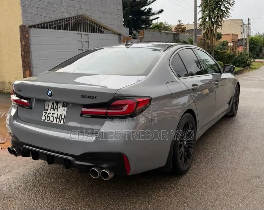 BMW 530 2020 Gris