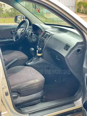 Hyundai Tucson 2007 Gris