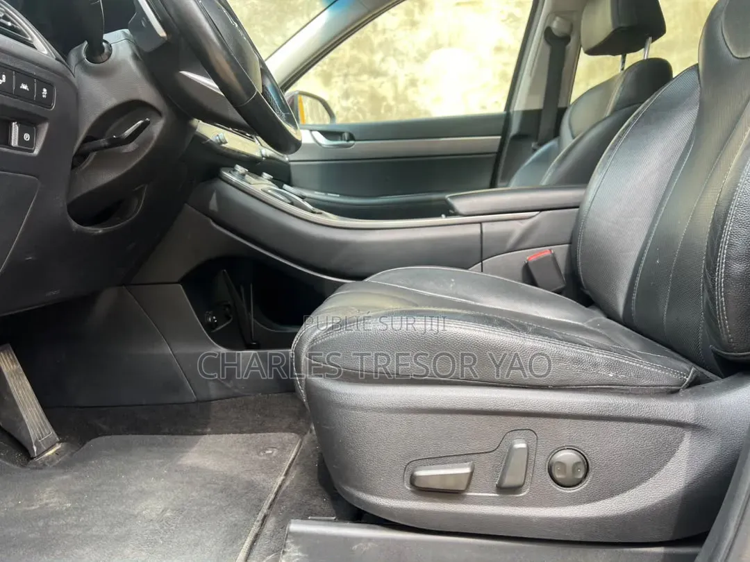 Hyundai Palissade Limited 2021 Turquoise