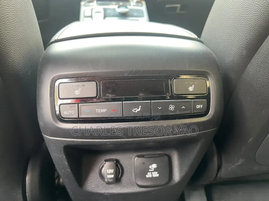 Hyundai Palissade Limited 2021 Turquoise