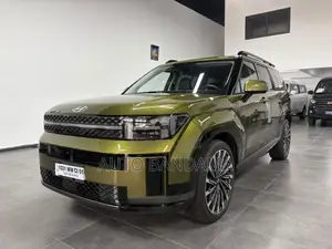 Hyundai Santa Fe 2024 Vert
