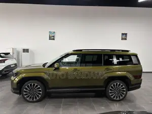 Hyundai Santa Fe 2024 Vert