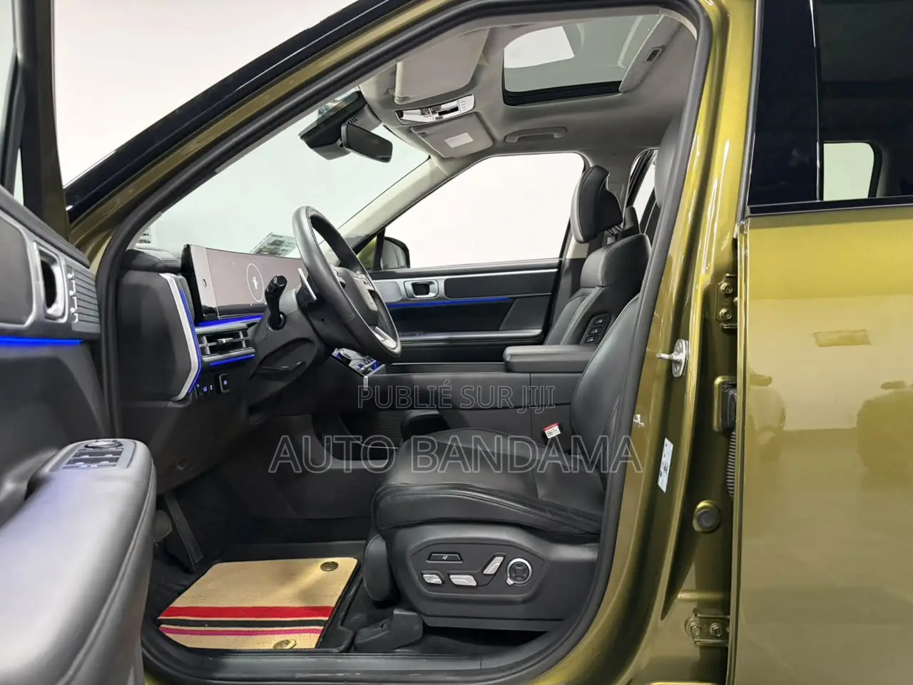 Hyundai Santa Fe 2024 Vert