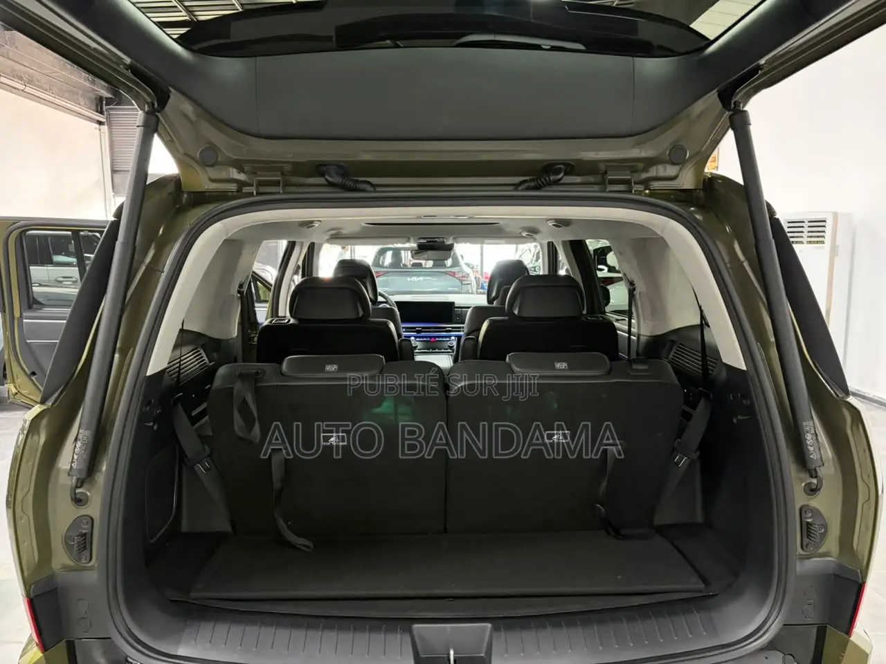 Hyundai Santa Fe 2024 Vert