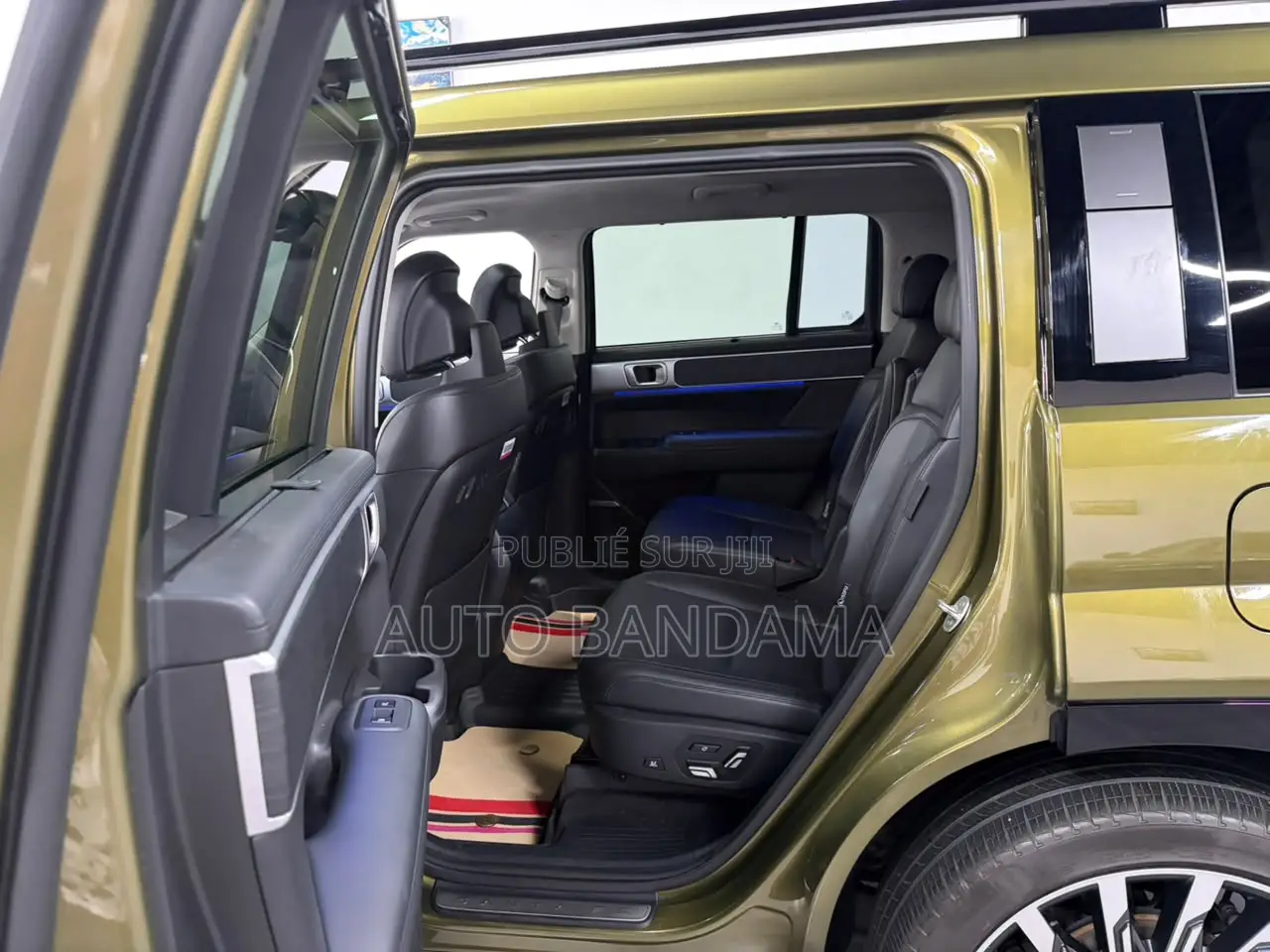 Hyundai Santa Fe 2024 Vert
