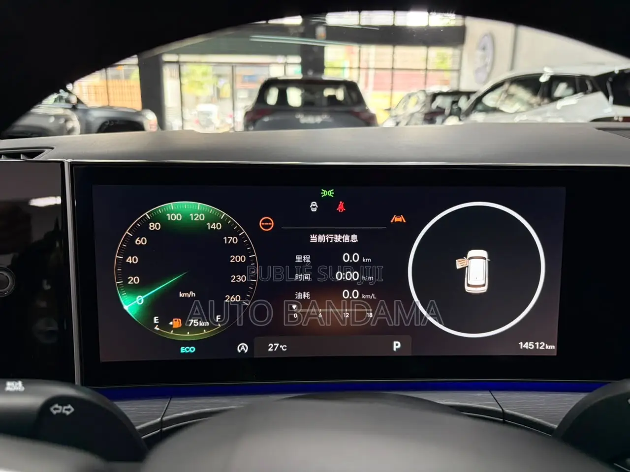 Hyundai Santa Fe 2024 Vert