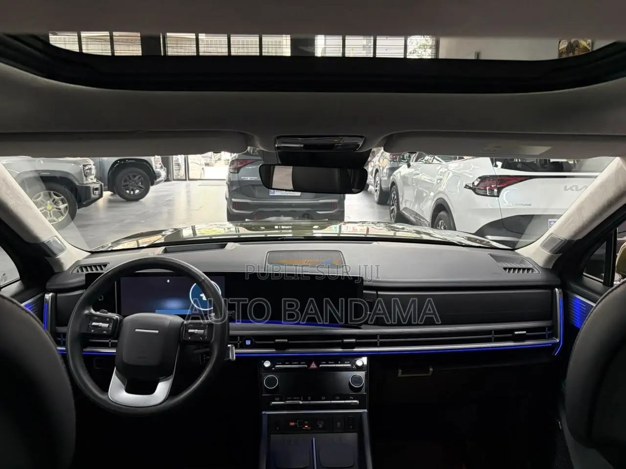 Hyundai Santa Fe 2024 Vert