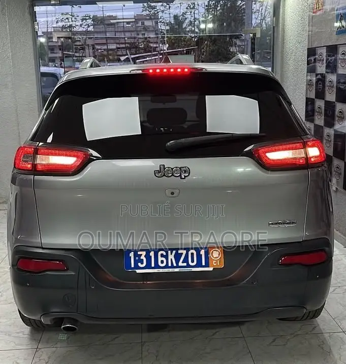 Jeep Cherokee 2017 Gris
