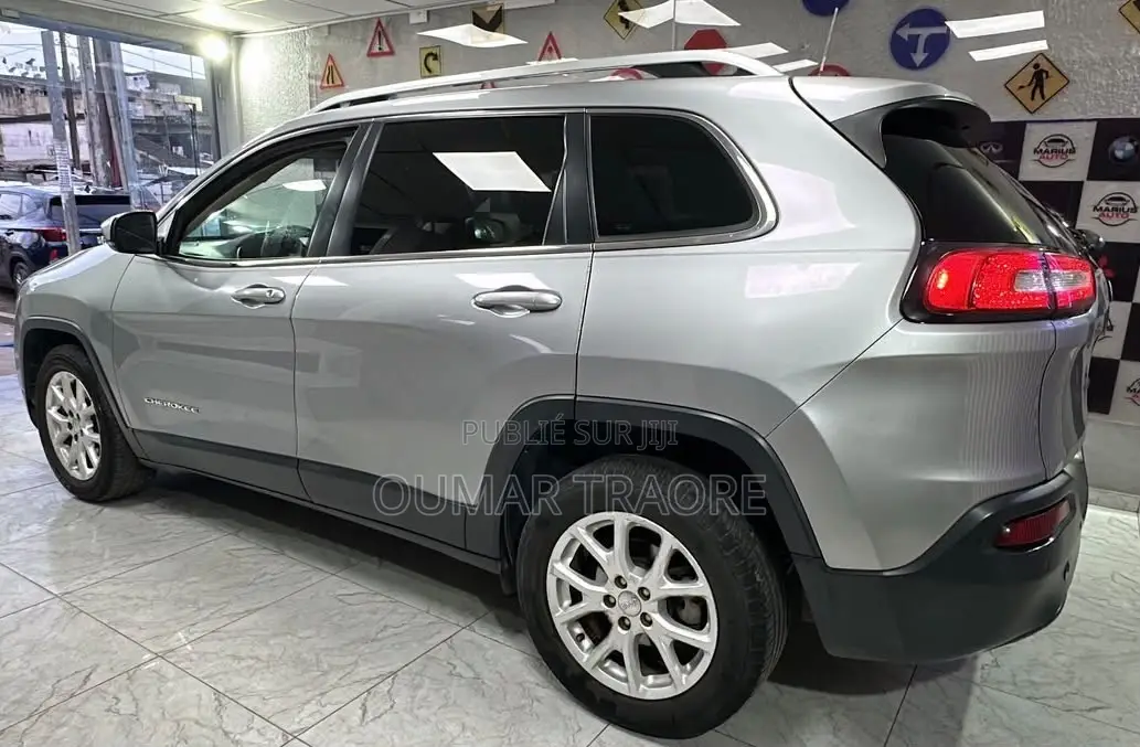 Jeep Cherokee 2017 Gris
