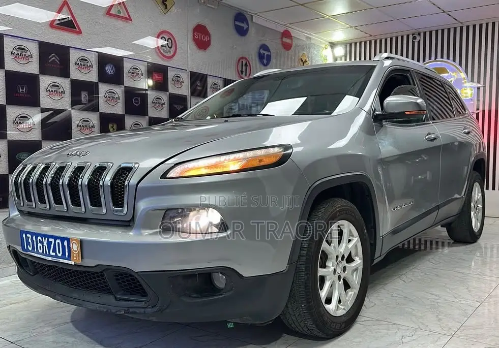 Jeep Cherokee 2017 Gris