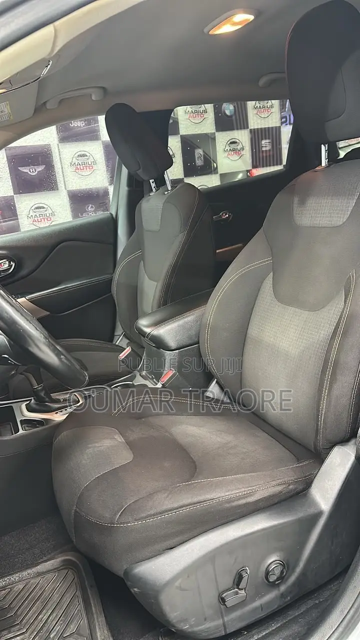 Jeep Cherokee 2017 Gris