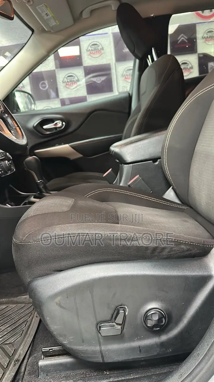Jeep Cherokee 2017 Gris