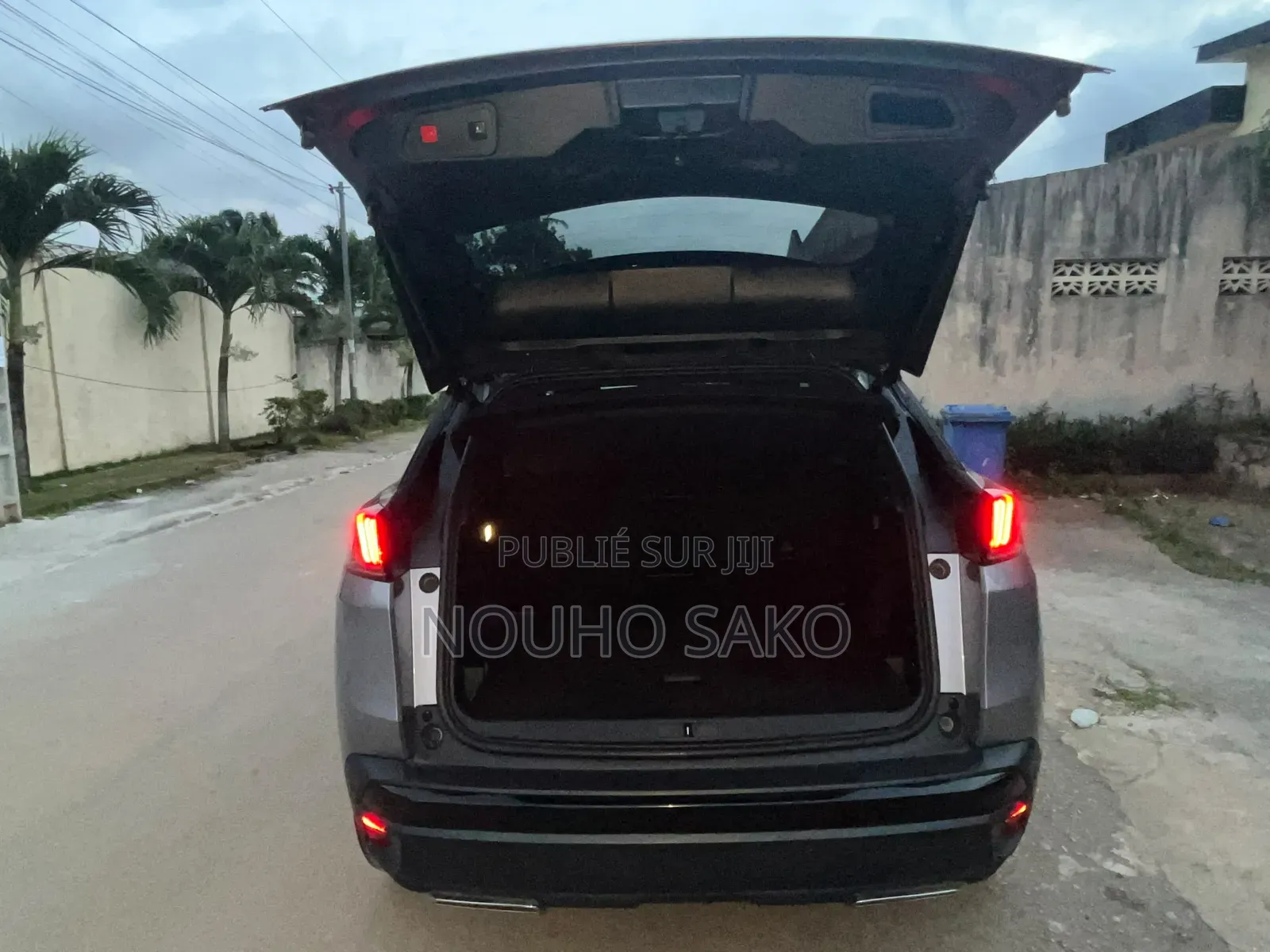 Peugeot 3008 2023 Gris