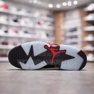 Air Jordan 6