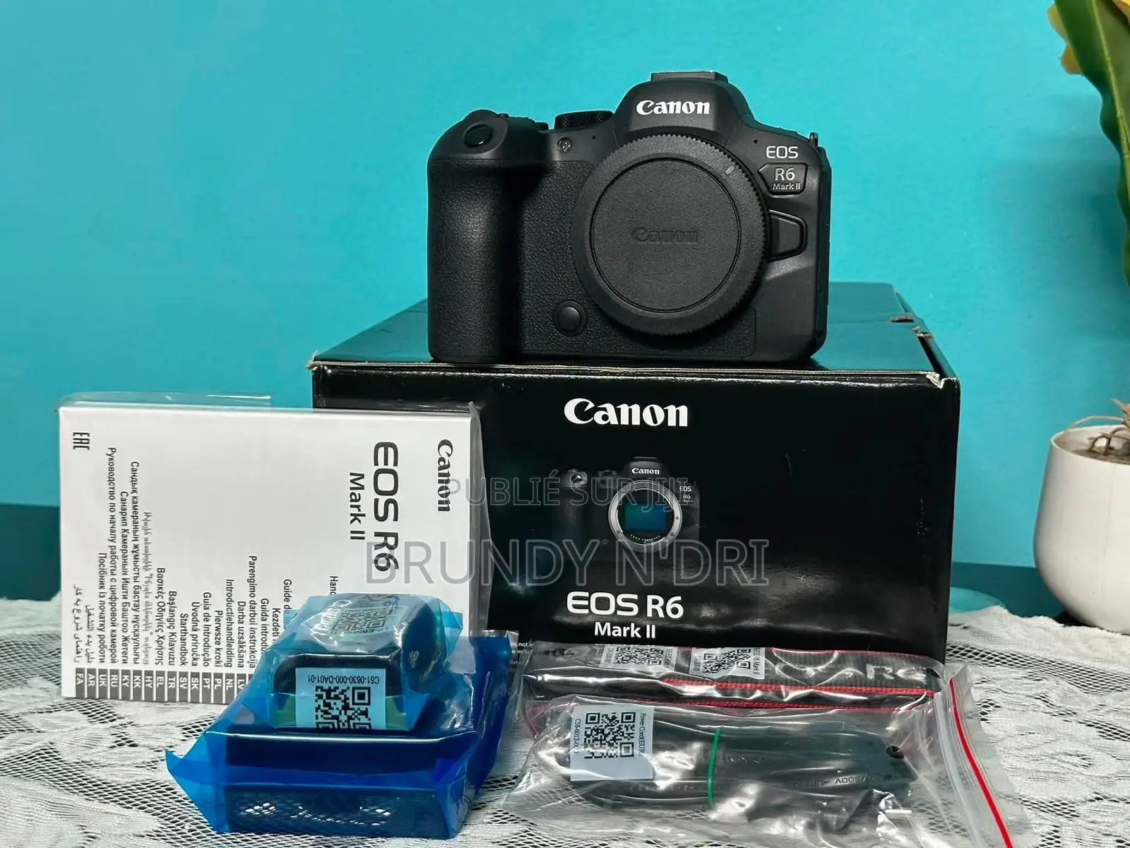 Appareil Photo Hybride Canon Eos R6 Mark Ii ( Neuf )