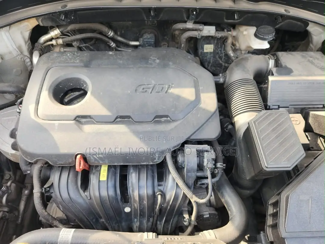 Kia Sportage 2020 Gris