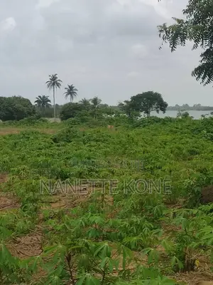 Investissement Côte d'Ivoire
