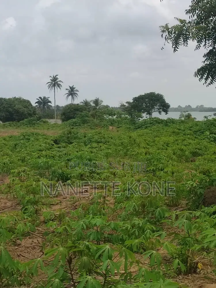 Investissement Côte d'Ivoire